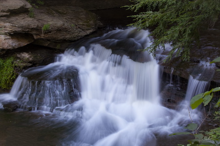 Wolf Creek Falls