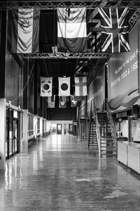 Beneath the Flags