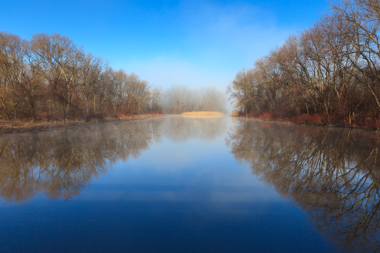 Canalway - IMG_7904.jpg IMG_7904.jpg