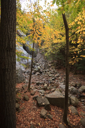 Along the Roaring Brook Falls Trail