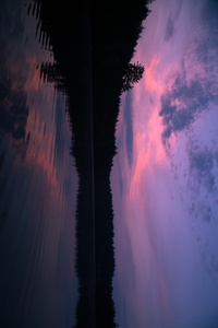 Pastel Dawn