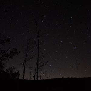 Starry Night at Echo Lake