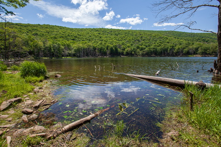 Echo Lake