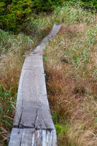 Boardway