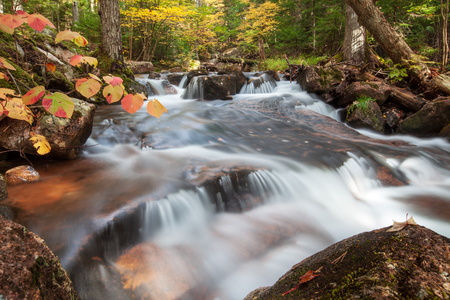 Jordan Stream IV