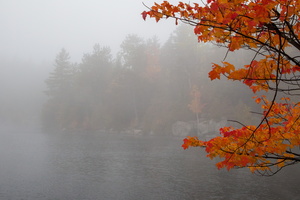 Foggy Afternoon on Copperas Pond