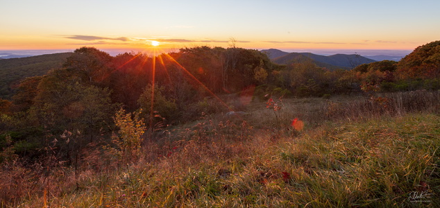 Mountain Meadow