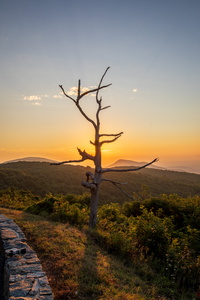 Sunrise at Little Devils Stairs